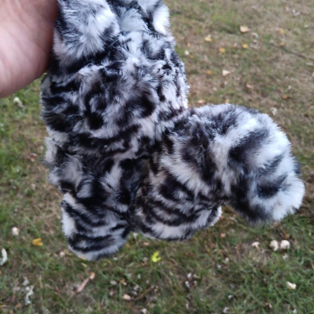 Custom fox monster - Picture 2 of 2